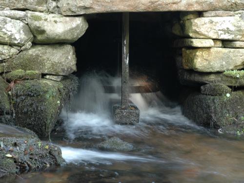 Fotografia de Sin Nombre - Galeria Fotografica: Fotos Variadas - Foto: El Agua de la Vida