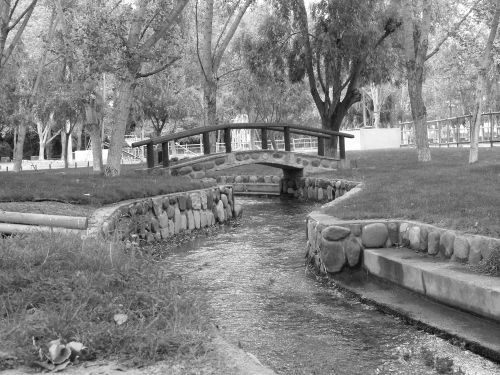 Fotografia de hans muoz g. - Galeria Fotografica: naturaleza en blanco y negro - Foto: puente y agua