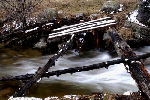 Fotografia de santi castro - Galeria Fotografica: Rinconcito cataln - Foto: furiosa y eterna vida...