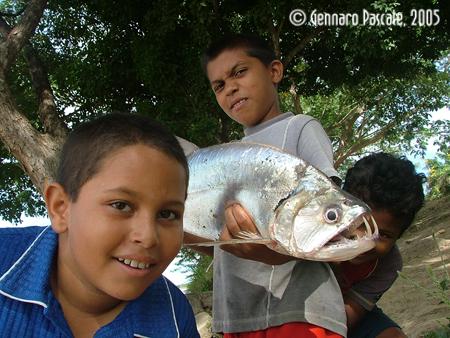 Fotografia de  - Galeria Fotografica: EL RO DE LA VIDA - Foto: 