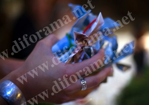 Fotografia de diforamafoto - Galeria Fotografica: diforamafoto - Foto: 