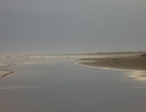 Fotografia de  - Galeria Fotografica: OTRO VERANO INCREIBLE EN NECOCHEA - Foto: ATARDECER DE PLATA 3