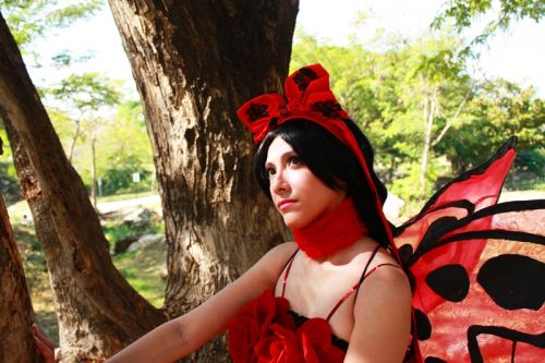 Fotografia de Umi Cosplay - Galeria Fotografica: Butterfly - Foto: 