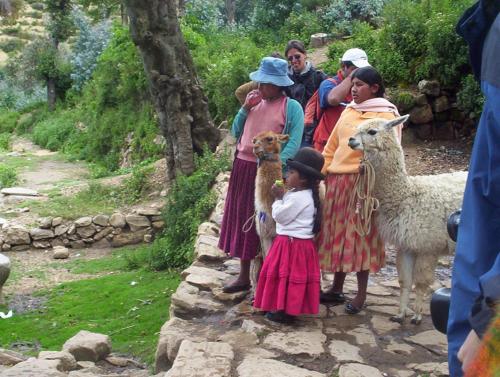 Fotografia de cecilia - Galeria Fotografica: bolivia! - Foto: la llama turistica