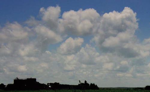 Fotografia de el pibe sin calma - Galeria Fotografica: alambrar el cielo - Foto: 