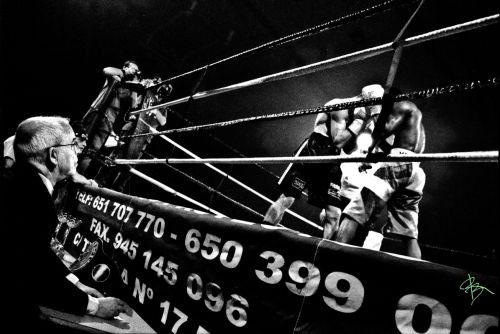 Fotografia de Ramn Buesa - Galeria Fotografica: Neutral Corner. 10 aos de Boxeo alavs - Foto: Juez arbitro