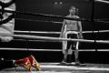 Foto de  Ramn Buesa - Galería: Neutral Corner. 10 aos de Boxeo alavs - Fotografía: Ko III