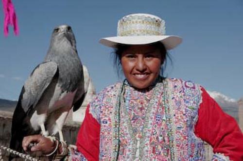 Fotografia de RobertoG.Poza - Galeria Fotografica: Naturaleza del Per. - Foto: Seora con aguila