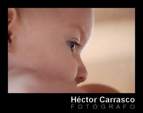 Fotografia de HECTOR CARRASCO - Galeria Fotografica: Bebs - Foto: Curiosidad