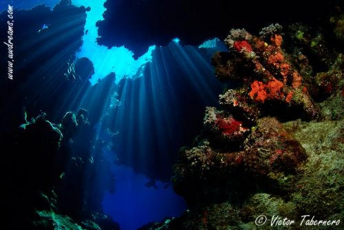 Fotografia de Victor Tabernero - Underwater Photography - Galeria Fotografica: El Color del silencio - Foto: 