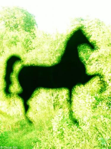 Fotografia de Oscar Sol - Galeria Fotografica: Strange Visions - Foto: Idea of the horse