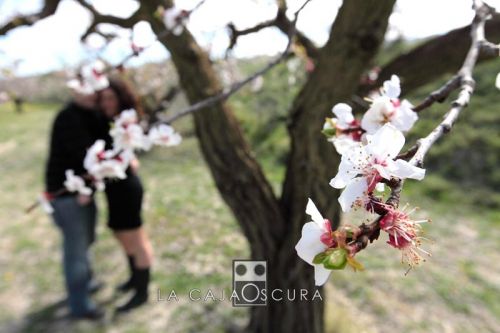 Fotografia de La caja oscura - Galeria Fotografica: Bodas 2012 - Foto: 