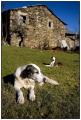 Foto de  Joan Mercadal - Galería: Galicia rural - Fotografía: Galicia rural