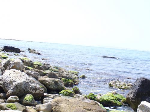 Fotografia de Nashira - Galeria Fotografica: playa - Foto: roca