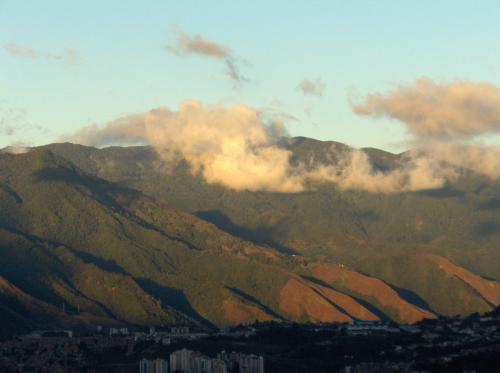 Fotografia de  - Galeria Fotografica: Flores y algo mas - Foto: El Avila desde Los Naranjos