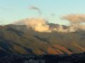 Fotos de Sin nombre -  Foto: Flores y algo mas - El Avila desde Los Naranjos