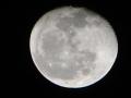 Foto de  ALFREDO VELASCO - Galería: observando el cielo - Fotografía: luna de noche 1