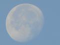 Foto de  ALFREDO VELASCO - Galería: observando el cielo - Fotografía: luna de dia 1
