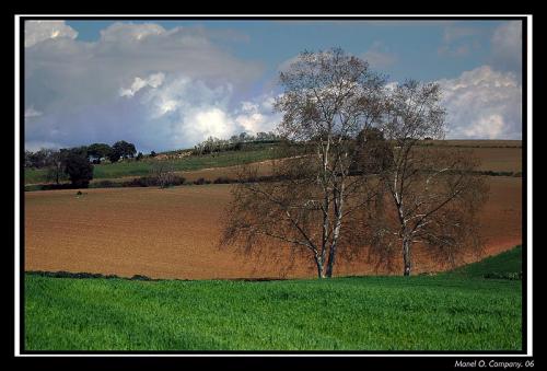 Fotografia de Manel - Galeria Fotografica: NATURALEZA - Foto: 