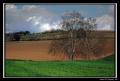 Foto de  Manel - Galería: NATURALEZA - Fotografía: 