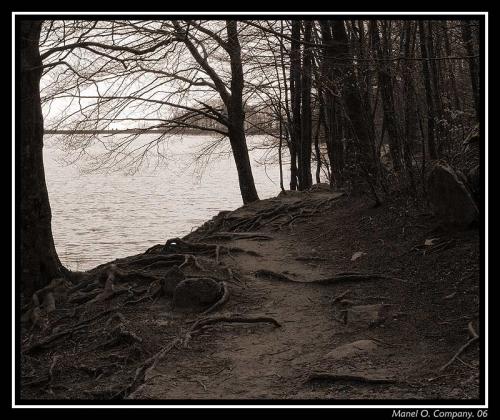 Fotografia de Manel - Galeria Fotografica: NATURALEZA - Foto: 