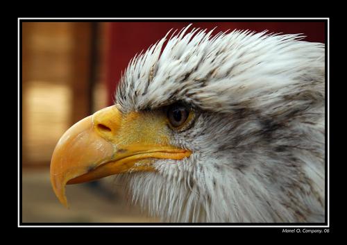 Fotografia de Manel - Galeria Fotografica: NATURALEZA - Foto: 