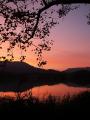 Foto de  alegria - Galería: PAISAJES - Fotografía: el lago de Banyoles al atardecer
