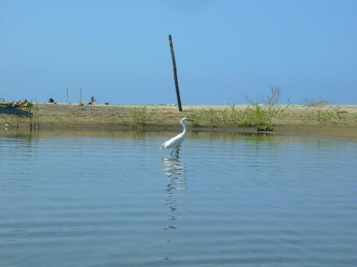 Fotografia de bom - Galeria Fotografica: .. - Foto: descuidado