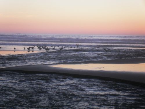 Fotografia de paocariaga - Galeria Fotografica: soando en el mar. - Foto: 