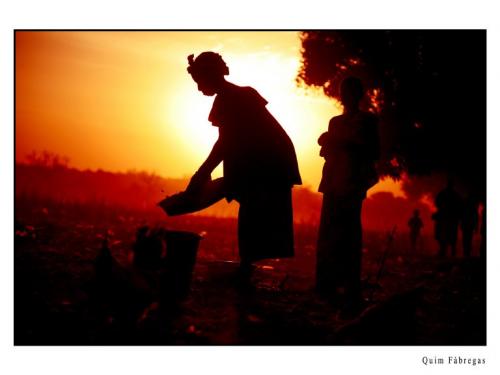 Fotografia de quim fotograf - Galeria Fotografica: Una visin de frica - Foto: Contraluz1