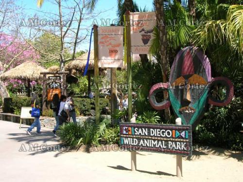 Fotografia de Ana Maria - Galeria Fotografica: Visita a wild animal park - Foto: San Diego Wild Animal park