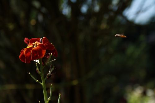 Fotografia de JUANCAR ERANDIO - Galeria Fotografica: Hacia el aeropuerto - Foto: 