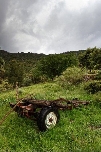 Fotografia de Reporland - Galeria Fotografica: Nauraleza - Foto: 