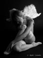 Foto de  Rafa Canelas - Galería: Desnudo 2 - Fotografía: Angel frio
