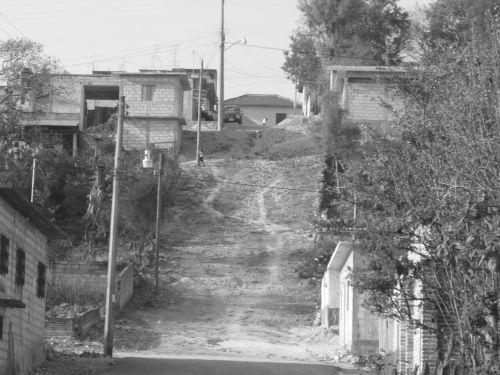 Fotografia de Yanine - Galeria Fotografica: gris...la vida...gris todo.... - Foto: calles de la ciudad2