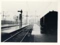 Foto de  romo - Galería: estaciones de tren - Fotografía: estacion de Milan1