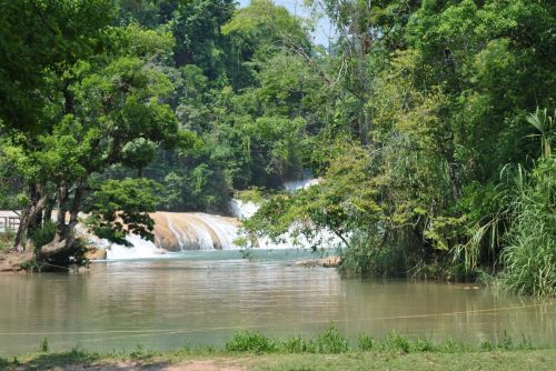 Fotografia de rockomexico - Galeria Fotografica: CASCADAS DE AGUA AZUL, CHIAPAS - Foto: 