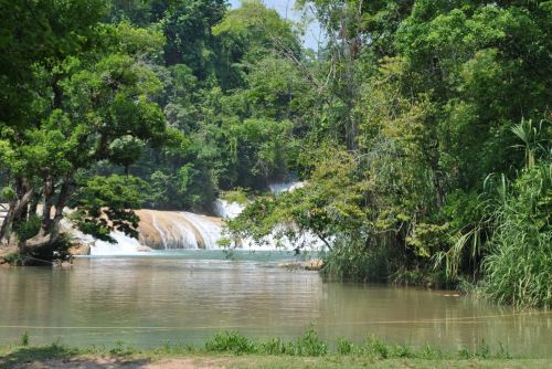 Fotografia de rockomexico - Galeria Fotografica: CASCADAS DE AGUA AZUL, CHIAPAS - Foto: 