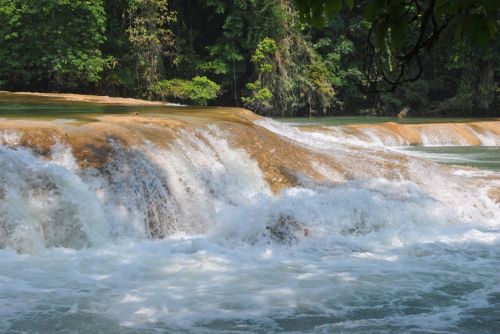 Fotografia de rockomexico - Galeria Fotografica: CASCADAS DE AGUA AZUL, CHIAPAS - Foto: 