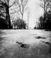 Foto de  FOTOLATERAS - Galería: BERLIN. CIUDADES ENLATADAS - Fotografía: hielo en el parque
