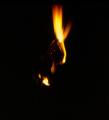Fotos de Pedro Alcantar -  Foto: El Amor quema - Pasin que se apaga