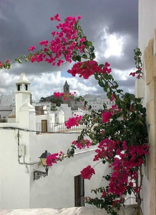 Fotografia de DIBADEL - Galeria Fotografica: De aqu y de all. - Foto: Tormenta de verano