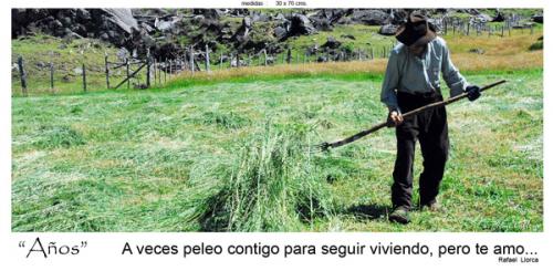 Fotografia de fotonatura3d - Galeria Fotografica: AYSN... y las riquezas amenazadas de la patagonia chilena - Foto: AOS