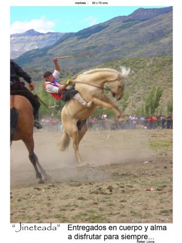 Fotografia de fotonatura3d - Galeria Fotografica: AYSN... y las riquezas amenazadas de la patagonia chilena - Foto: JINETEADA