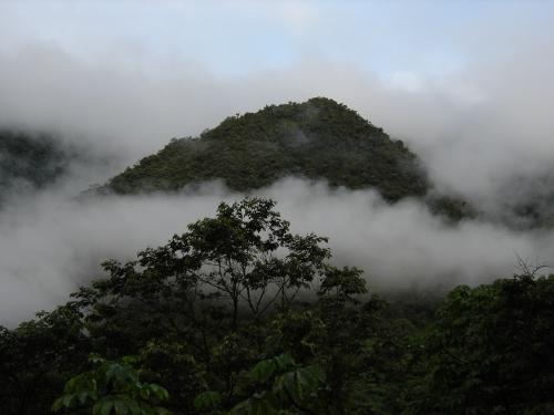 Fotografia de Wilypol - Galeria Fotografica: Naturaleza - Foto: entre nubes