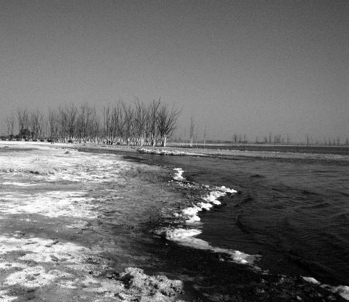 Fotografia de FabinLarrea - Galeria Fotografica: El Lago Epecuen, Carhue - Foto: 