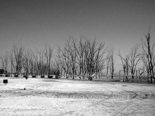 Fotografia de FabinLarrea - Galeria Fotografica: El Lago Epecuen, Carhue - Foto: 