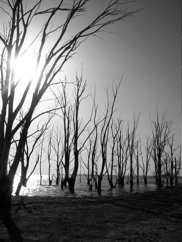 Fotografia de FabinLarrea - Galeria Fotografica: El Lago Epecuen, Carhue - Foto: 