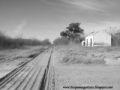 Foto de  THE PASSENGER TRAIN - Galería: Por las vias del pais entre...Trenes, ferrocarriles y un poco de historia - Fotografía: Vivero, ruinas del FCGSM