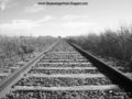 Foto de  THE PASSENGER TRAIN - Galería: Por las vias del pais entre...Trenes, ferrocarriles y un poco de historia - Fotografía: Vias